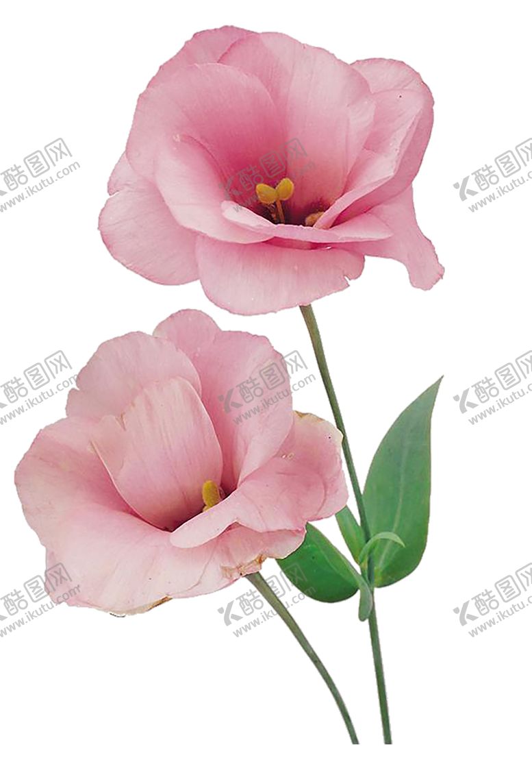 编号：28509210081227511812【酷图网】源文件下载-红色背景