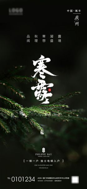 寒露简约节气系列海报