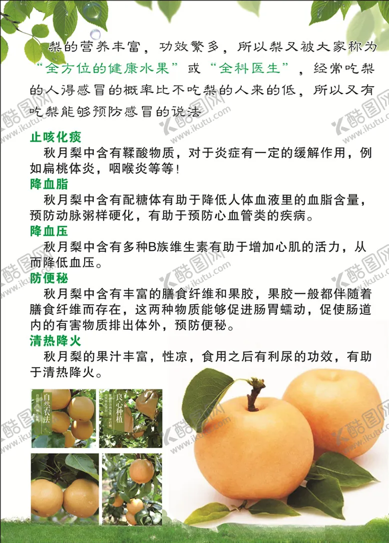 编号：76065310231747208077【酷图网】源文件下载-梨贴海报贴秋水梨丰水梨