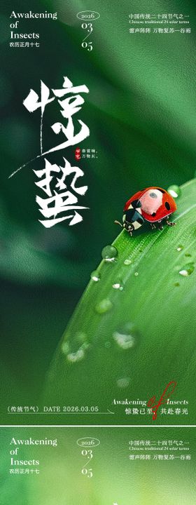 惊蛰瓢虫海报
