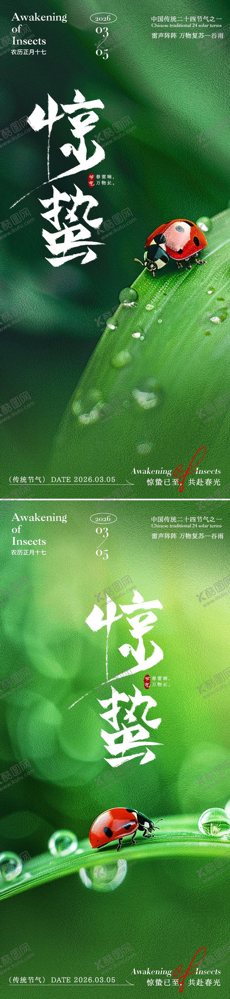 编号：12491602160222023671【酷图网】源文件下载-惊蛰瓢虫海报