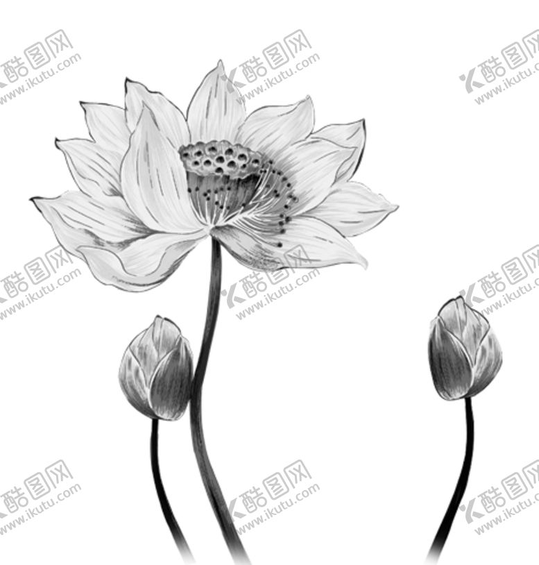 编号：43093604281437265664【酷图网】源文件下载-水墨荷花