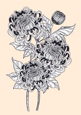 纯色绘画植物花朵