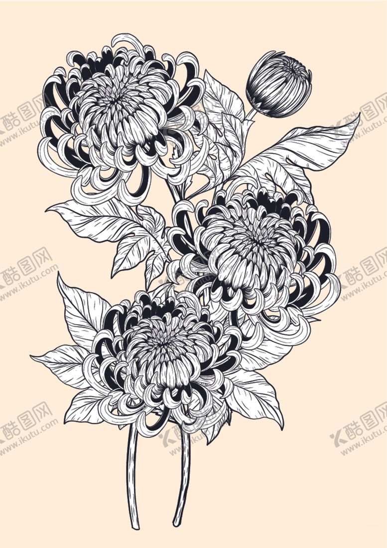 编号：27676909300338132233【酷图网】源文件下载-纯色绘画植物花朵