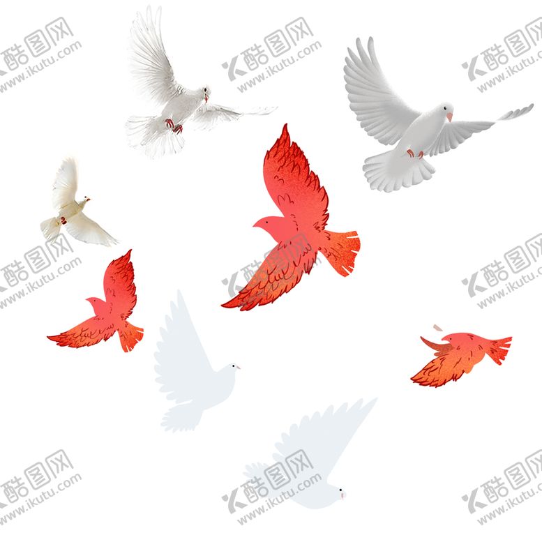 编号：89459311210910584470【酷图网】源文件下载-和平鸽