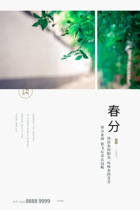 春分转发图地产节气海报单张