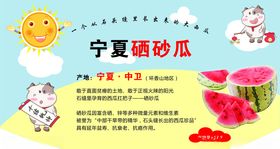 异形超市海报宁夏硒砂瓜海报