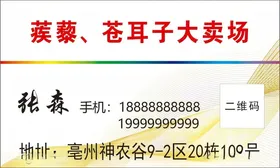 名片模版IT个性VIP板