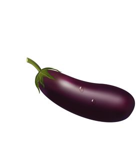 茄子素材