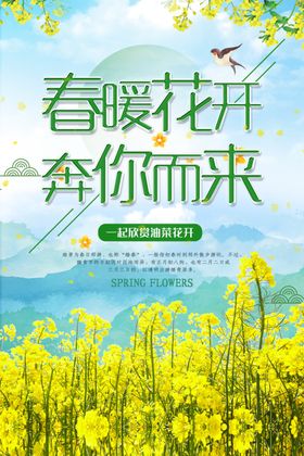 踏春油菜花
