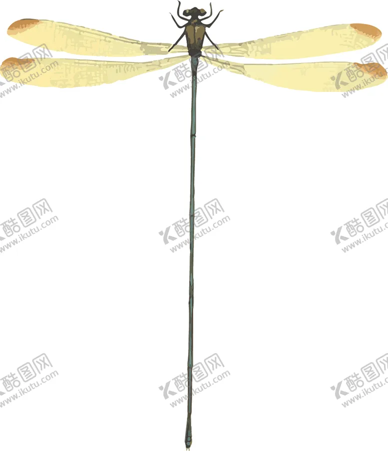 编号：58560207010501066555【酷图网】源文件下载-昆虫插画