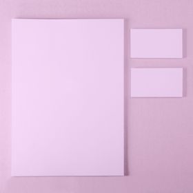 名片样机办公用品贴图办公用品办公用品VI贴图