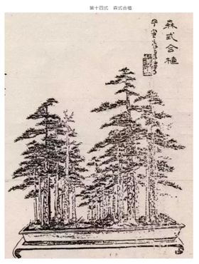 盆景造型十四式
