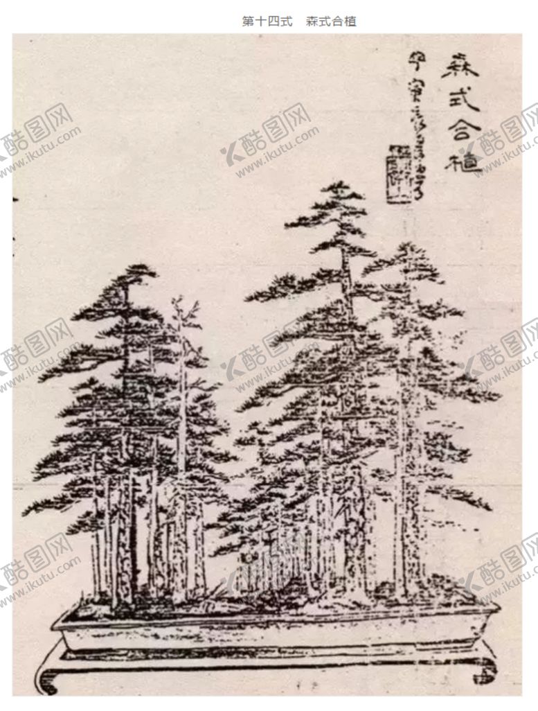 编号：34355505121550569992【酷图网】源文件下载-盆景造型十四式