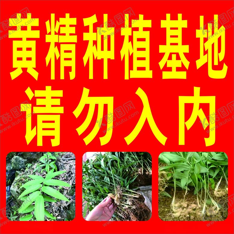 编号：50662801260334274147【酷图网】源文件下载-黄精