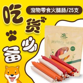 雪花小肉片宠物零食新品插画海报