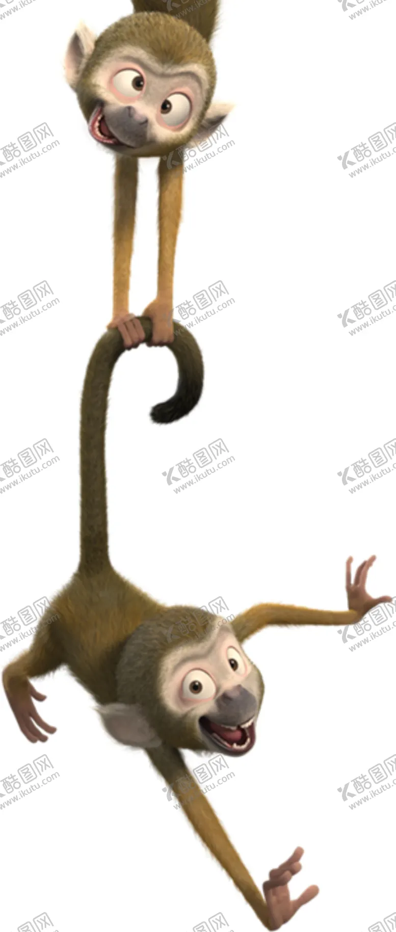 编号：18980605021538228438【酷图网】源文件下载-猴子