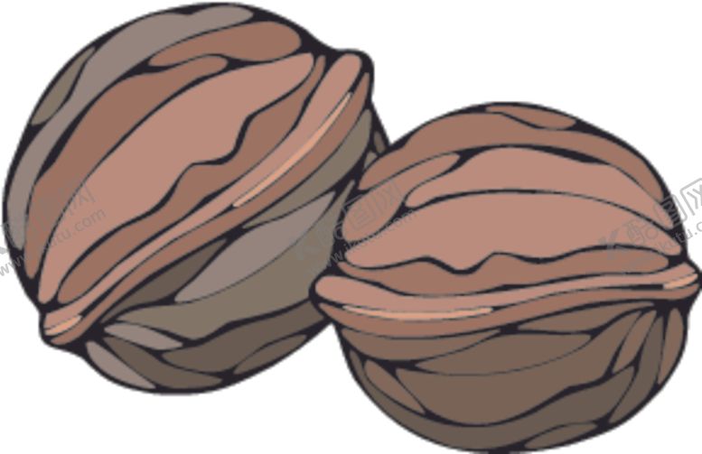 编号：98397311012019142019【酷图网】源文件下载-核桃