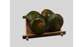 皮蛋