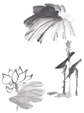 中国风荷叶荷花绘画