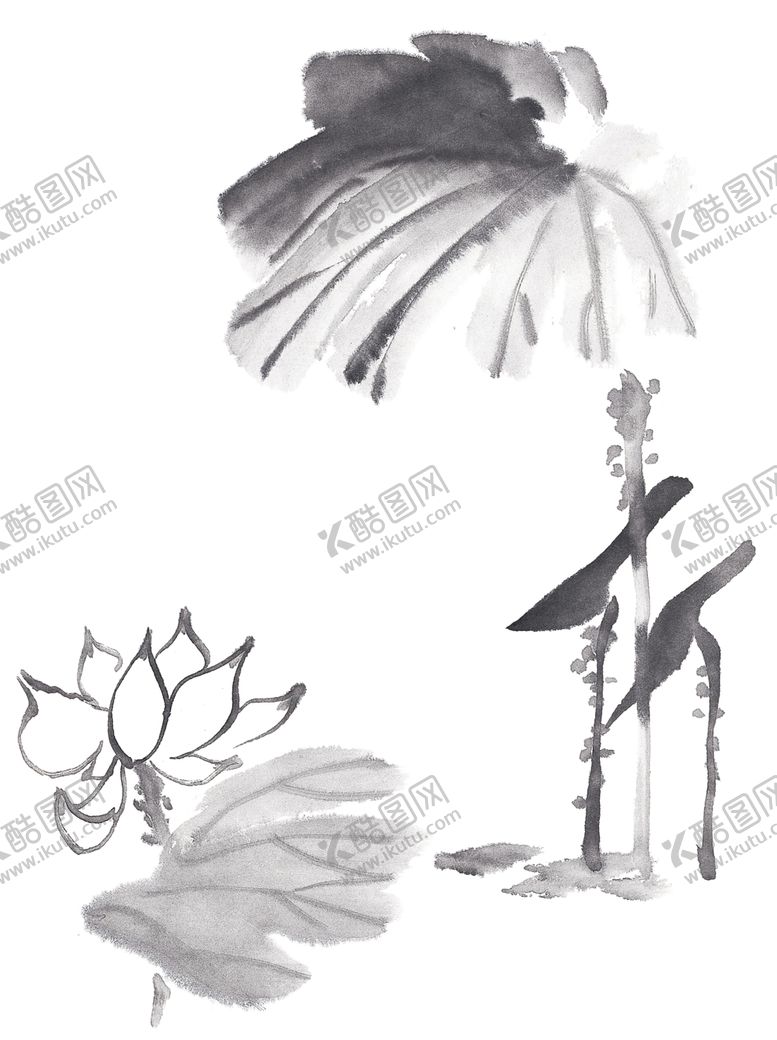 编号：81939810141418064949【酷图网】源文件下载-中国风荷叶荷花绘画