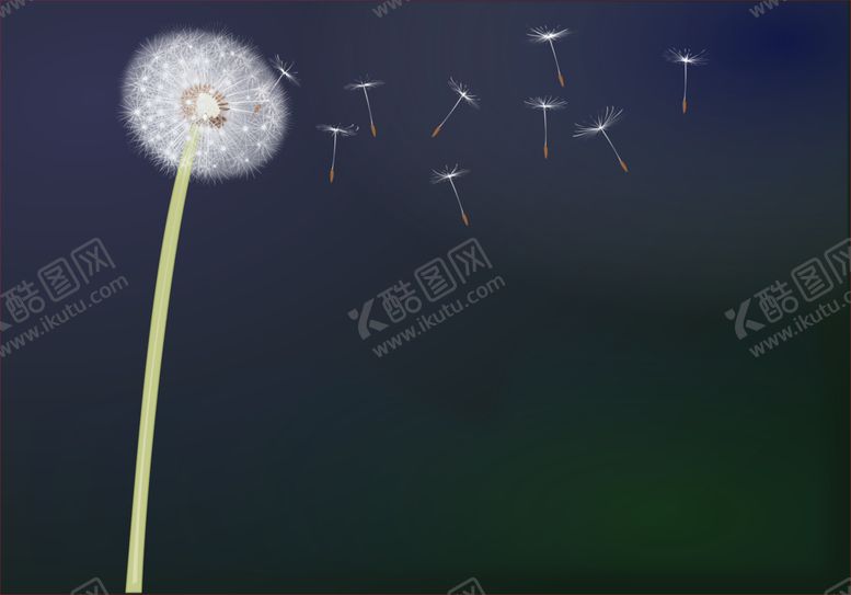 编号：32236801191643347566【酷图网】源文件下载-蒲公英