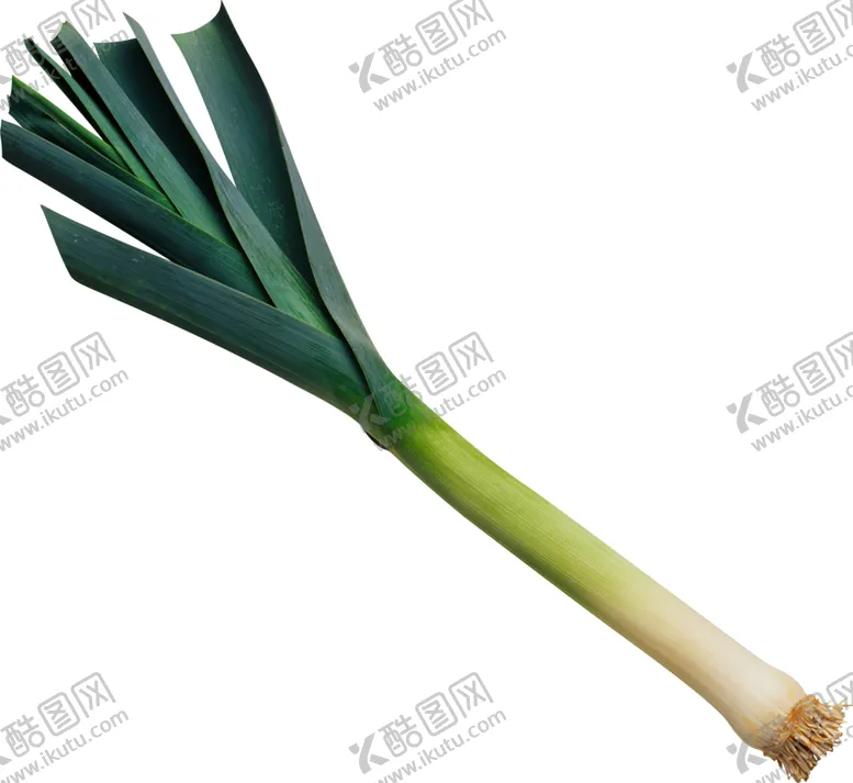 编号：70337607022006544540【酷图网】源文件下载-大葱