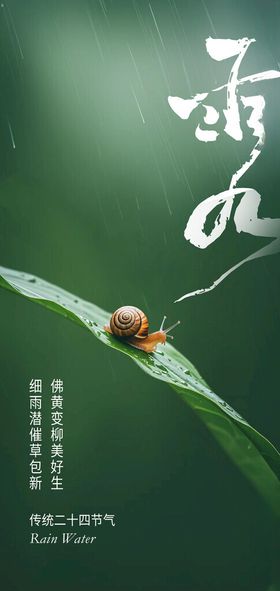 二十四节气雨水创意海报