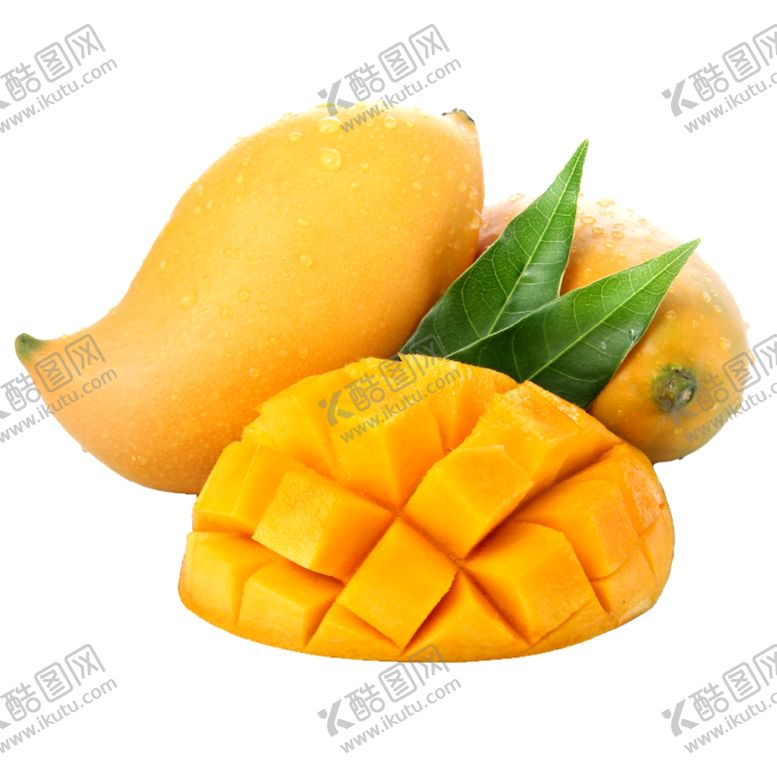 编号：39071209211752591365【酷图网】源文件下载-芒果