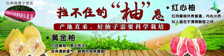 编号：73980109292243585612【酷图网】源文件下载-柚子