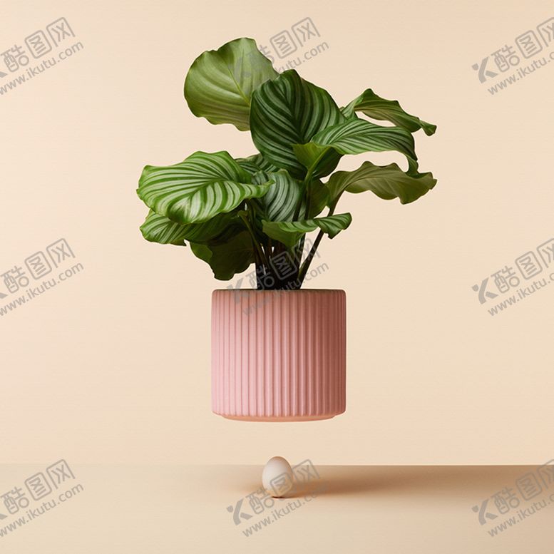 编号：98381209260659126614【酷图网】源文件下载-北欧简约艺术绿植餐厅装饰画