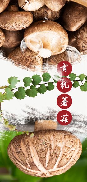 蘑菇海报