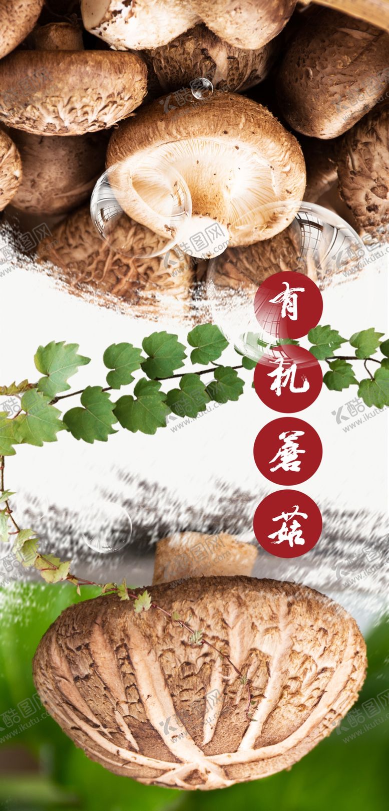 编号：80256207052144505845【酷图网】源文件下载-蘑菇海报