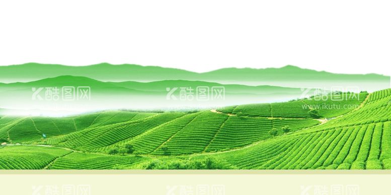 编号：11493812160736286035【酷图网】源文件下载-大场景茶山远近的茶山