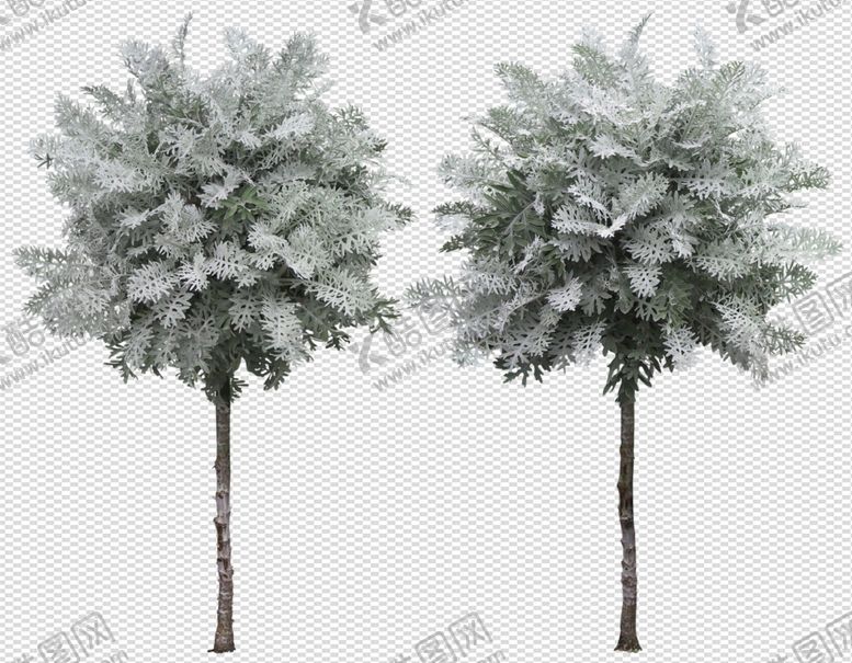 编号：71182510131524441397【酷图网】源文件下载-透明底植物