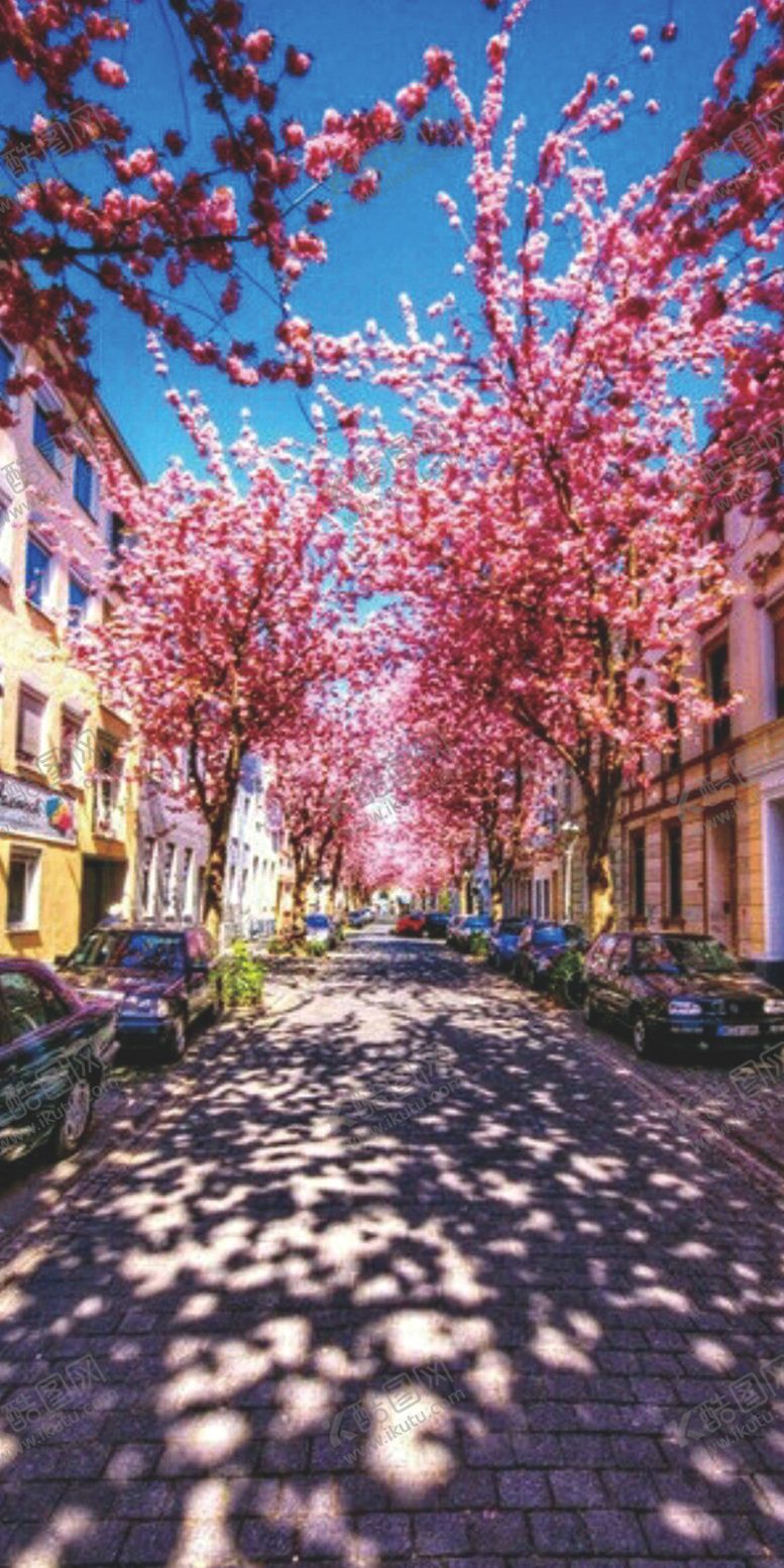 编号：40436009121000261795【酷图网】源文件下载-城市风景手机壳街拍