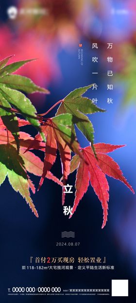 立秋海报24节气黄叶节气素材红叶