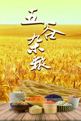 五谷杂粮红豆包装盒效果