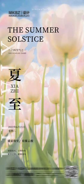 夏至二十四节气海报郁金香花海