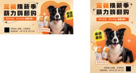 宠物用品电商海报封面banne