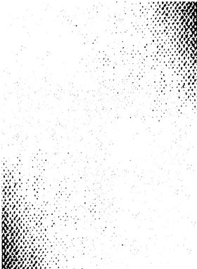 比比Q