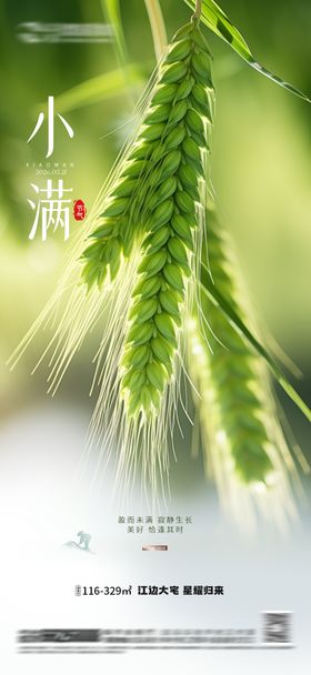 小满二十四节气地产房地产