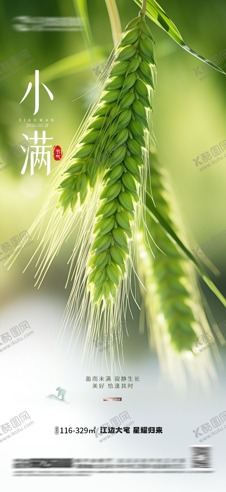 编号：89518905222315464835【酷图网】源文件下载-小满二十四节气地产房地产