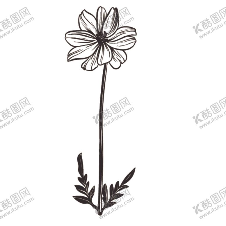 编号：23814410200522396851【酷图网】源文件下载-素描绘画植物花朵