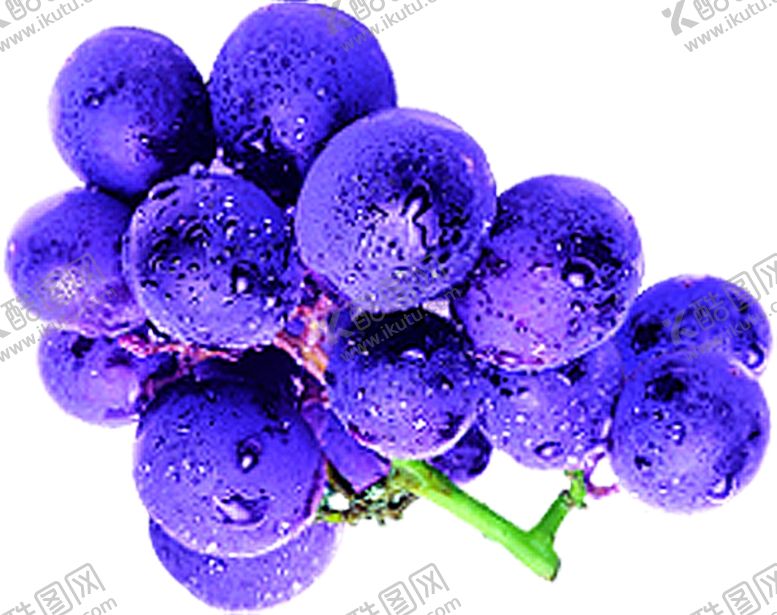 编号：62586607010348339879【酷图网】源文件下载-葡萄