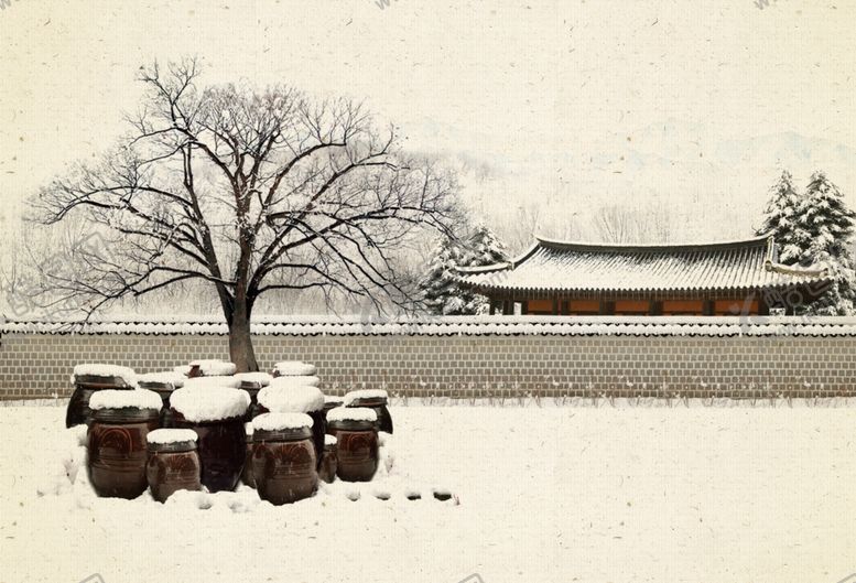 编号：52966807010833273671【酷图网】源文件下载-中国风背景雪景