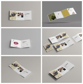 册子折页宣传册样机