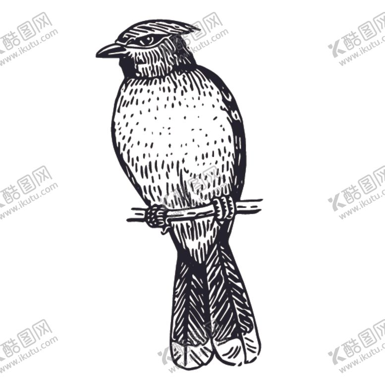 编号：13490210261143367202【酷图网】源文件下载-飞鸟线稿绘画图案