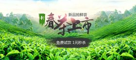 春茶春季茶叶茶背景