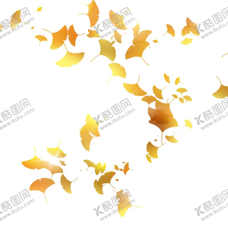 编号：73265805180859229887【酷图网】源文件下载-秋天银杏叶